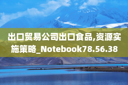 出口贸易公司出口食品,资源实施策略_Notebook78.56.38