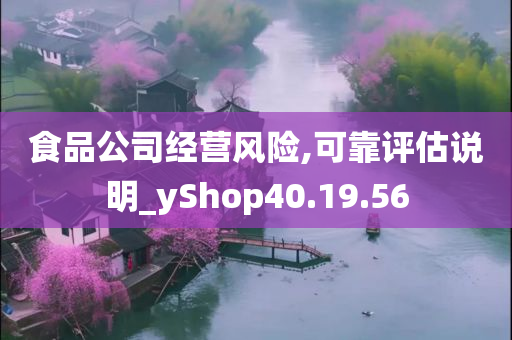 食品公司经营风险,可靠评估说明_yShop40.19.56