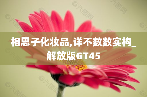 相思子化妆品,详不数数实构_解放版GT45