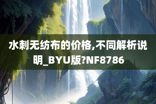 水刺无纺布的价格,不同解析说明_BYU版?NF8786