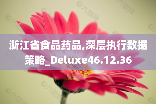 浙江省食品药品,深层执行数据策略_Deluxe46.12.36