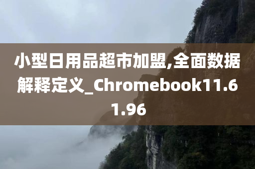 小型日用品超市加盟,全面数据解释定义_Chromebook11.61.96