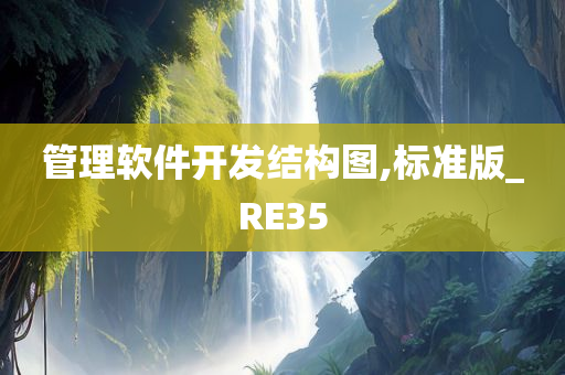 管理软件开发结构图,标准版_RE35