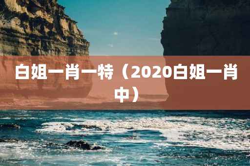 白姐一肖一特（2020白姐一肖中）