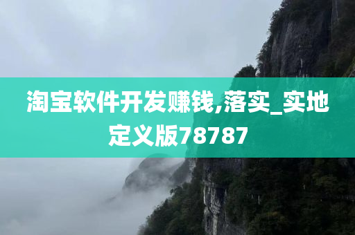 淘宝软件开发赚钱,落实_实地定义版78787