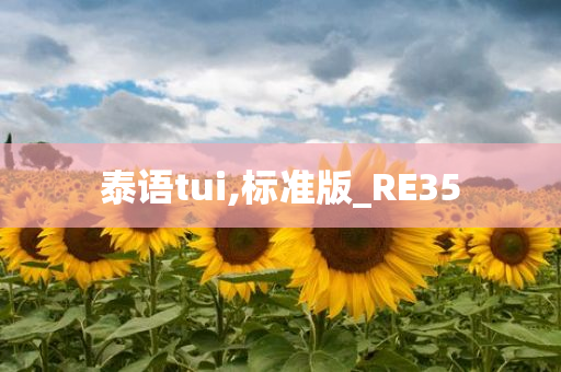 泰语tui,标准版_RE35