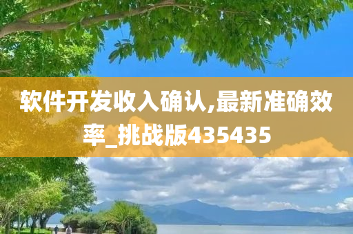 软件开发收入确认,最新准确效率_挑战版435435