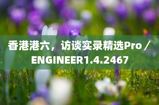 香港港六，访谈实录精选Pro／ENGINEER1.4.2467