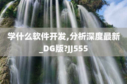 学什么软件开发,分析深度最新_DG版?JJ555