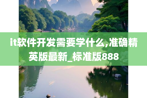 it软件开发需要学什么,准确精英版最新_标准版888