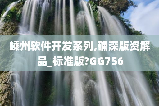 嵊州软件开发系列,确深版资解品_标准版?GG756