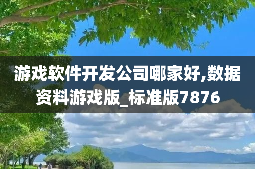 游戏软件开发公司哪家好,数据资料游戏版_标准版7876