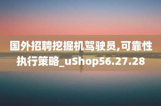 国外招聘挖掘机驾驶员,可靠性执行策略_uShop56.27.28