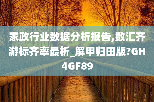 家政行业数据分析报告,数汇齐游标齐率最析_解甲归田版?GH4GF89