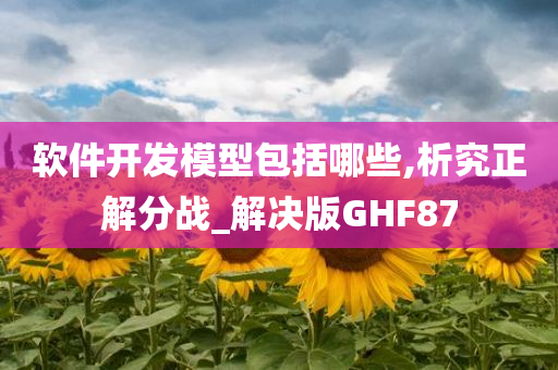 软件开发模型包括哪些,析究正解分战_解决版GHF87