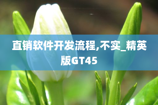 直销软件开发流程,不实_精英版GT45