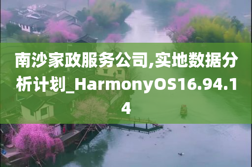 南沙家政服务公司,实地数据分析计划_HarmonyOS16.94.14