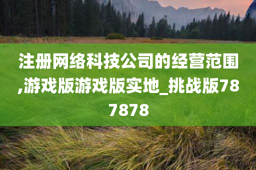 注册网络科技公司的经营范围,游戏版游戏版实地_挑战版787878