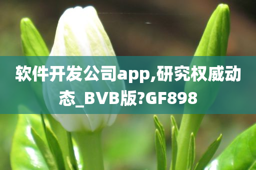 软件开发公司app,研究权威动态_BVB版?GF898