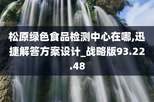 松原绿色食品检测中心在哪,迅捷解答方案设计_战略版93.22.48