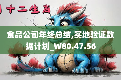 食品公司年终总结,实地验证数据计划_W80.47.56