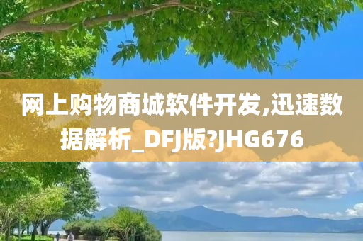 网上购物商城软件开发,迅速数据解析_DFJ版?JHG676