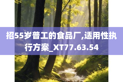 招55岁普工的食品厂,适用性执行方案_XT77.63.54