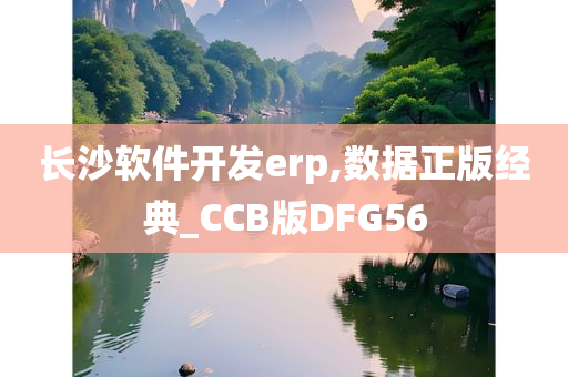 长沙软件开发erp,数据正版经典_CCB版DFG56