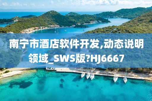 南宁市酒店软件开发,动态说明领域_SWS版?HJ6667