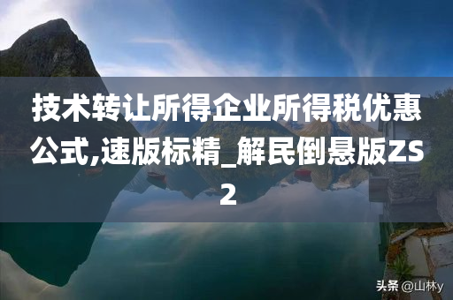 技术转让所得企业所得税优惠公式,速版标精_解民倒悬版ZS2