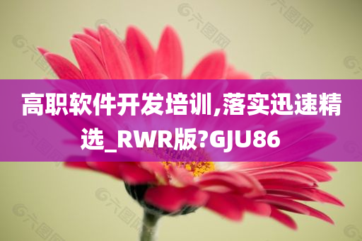 高职软件开发培训,落实迅速精选_RWR版?GJU86