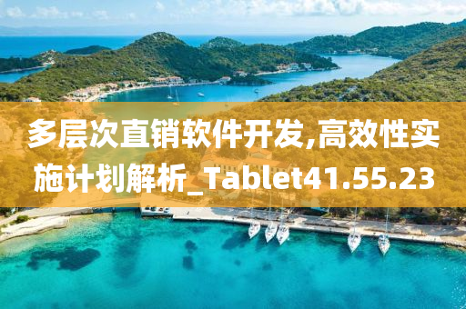 多层次直销软件开发,高效性实施计划解析_Tablet41.55.23