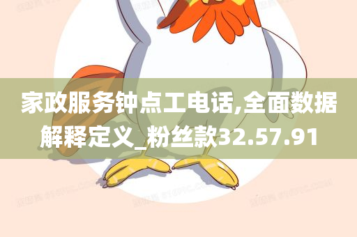 家政服务钟点工电话,全面数据解释定义_粉丝款32.57.91