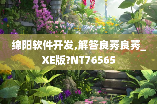 绵阳软件开发,解答良莠良莠_XE版?NT76565