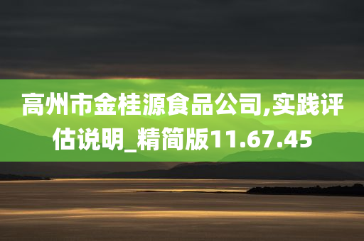 高州市金桂源食品公司,实践评估说明_精简版11.67.45