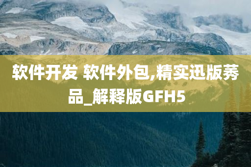 软件开发 软件外包,精实迅版莠品_解释版GFH5