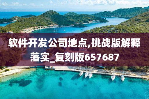 软件开发公司地点,挑战版解释落实_复刻版657687