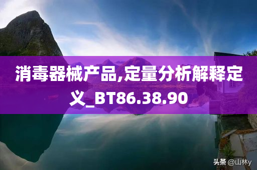 消毒器械产品,定量分析解释定义_BT86.38.90