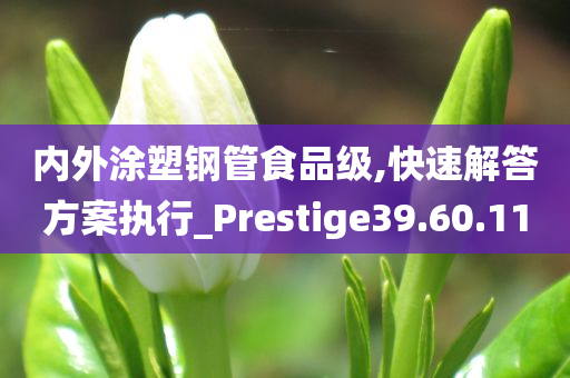 内外涂塑钢管食品级,快速解答方案执行_Prestige39.60.11