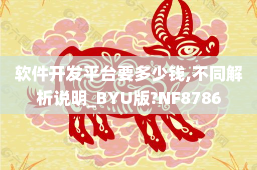 软件开发平台要多少钱,不同解析说明_BYU版?NF8786