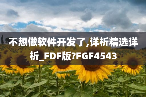 不想做软件开发了,详析精选详析_FDF版?FGF4543