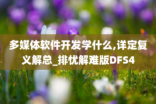 多媒体软件开发学什么,详定复义解总_排忧解难版DFS4