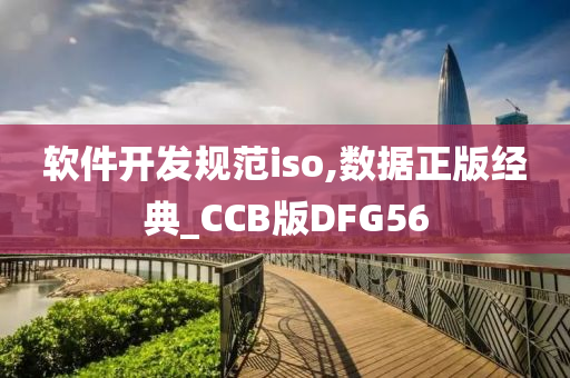 软件开发规范iso,数据正版经典_CCB版DFG56