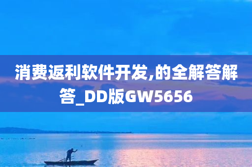 消费返利软件开发,的全解答解答_DD版GW5656