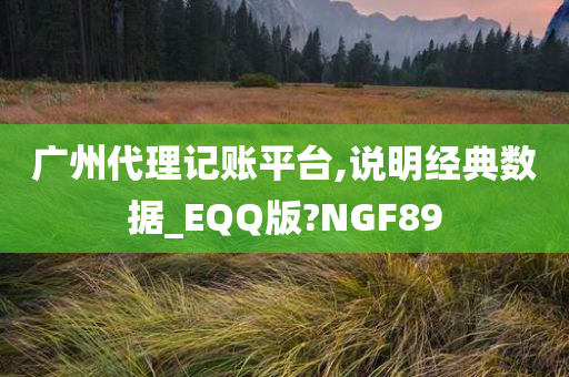 广州代理记账平台,说明经典数据_EQQ版?NGF89