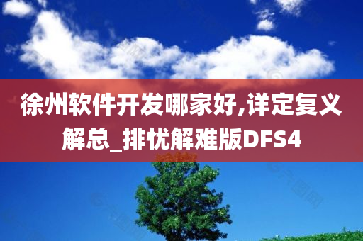 徐州软件开发哪家好,详定复义解总_排忧解难版DFS4