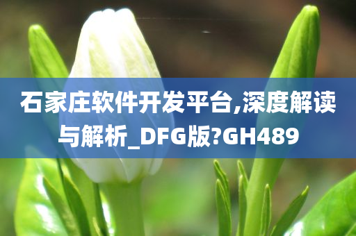 石家庄软件开发平台,深度解读与解析_DFG版?GH489