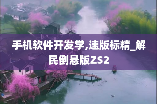 手机软件开发学,速版标精_解民倒悬版ZS2