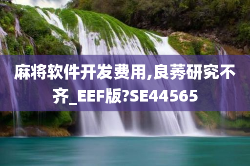 麻将软件开发费用,良莠研究不齐_EEF版?SE44565