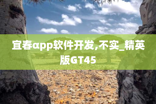 宜春αpp软件开发,不实_精英版GT45